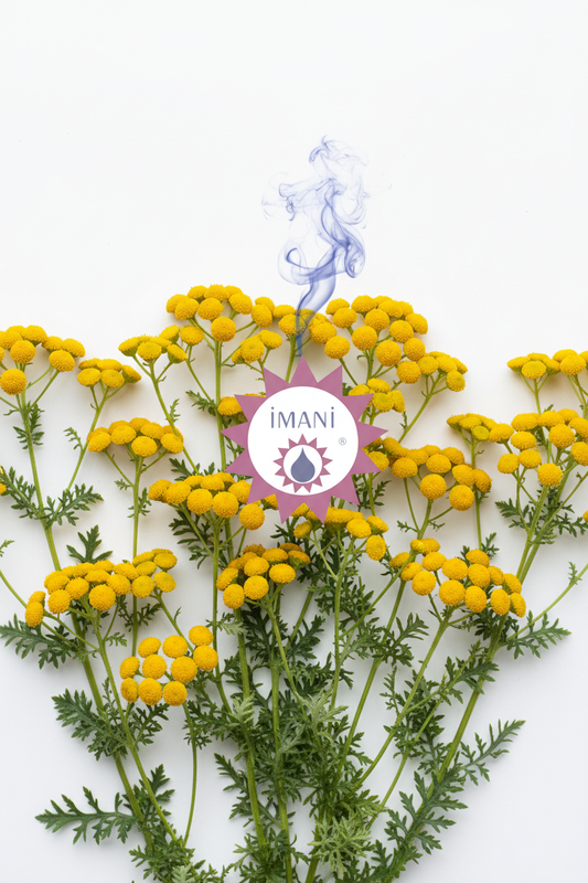 Imani Blue Tansy Essential Oil