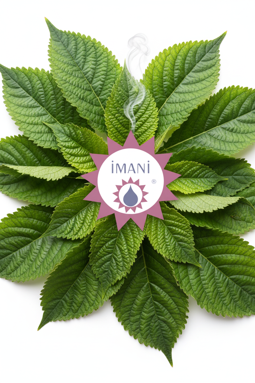 Imani Patchouli Essential Oil - Leaves Only