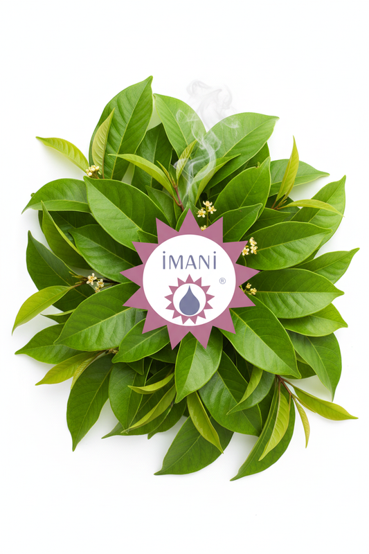 Imani Ravintsara Essential Oil